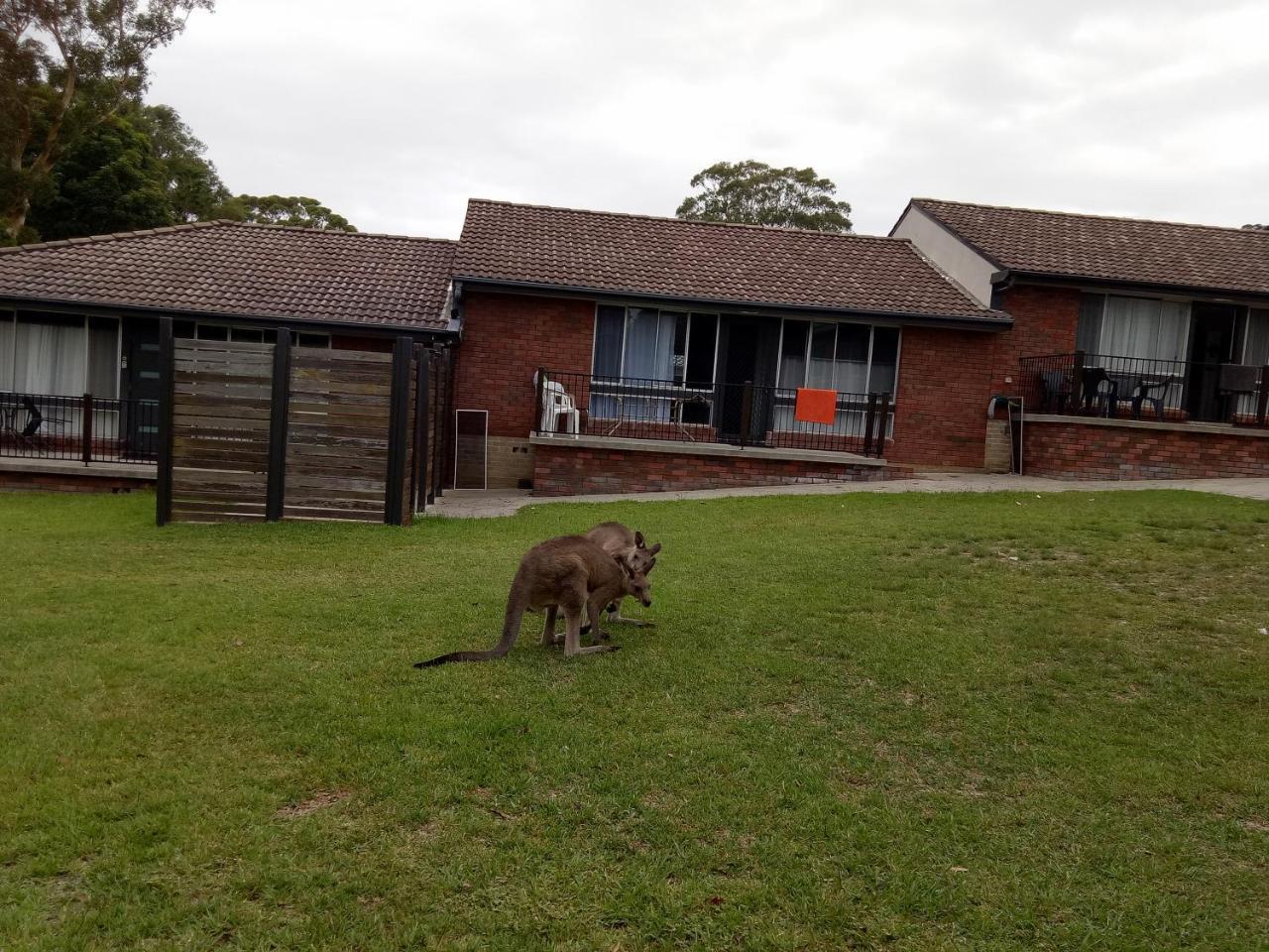 וינסנטיה The Jervis Bay Villas מראה חיצוני תמונה